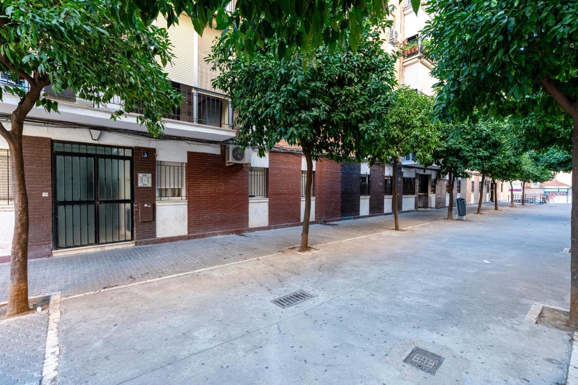 Piso Elegante Y Nuevo De 3 Habitaciones Y 2 Banos Seville Luaran gambar